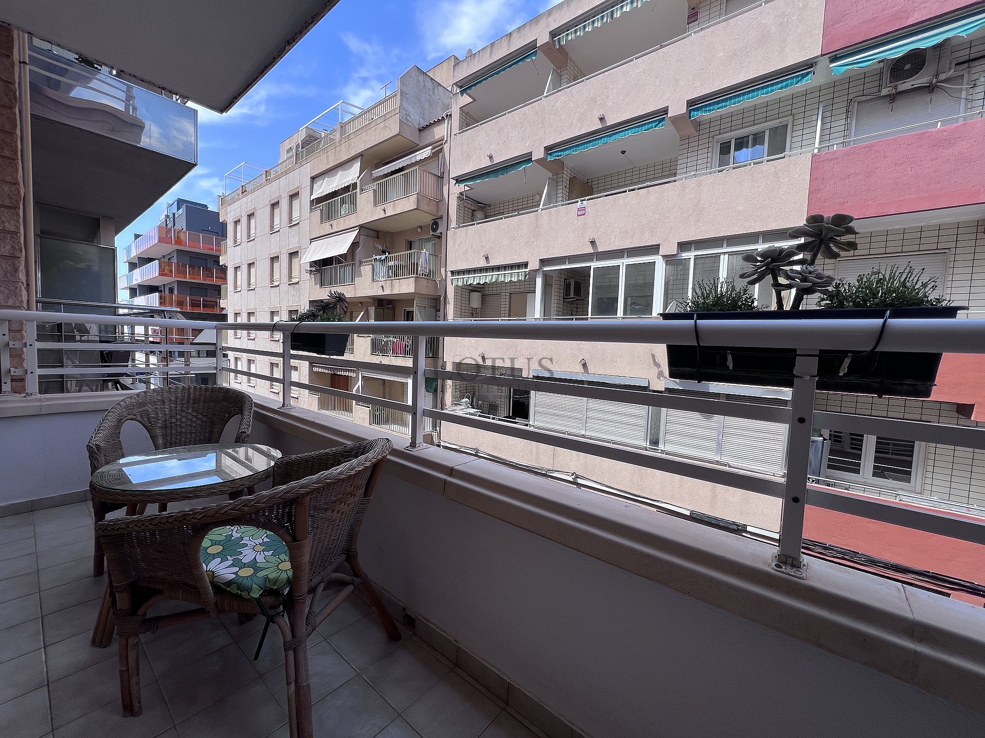 Lägenhet endast 60 meter från Playa de los Locos – Torrevieja - Lotus Properties